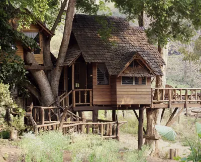 Cabanes dans les arbres